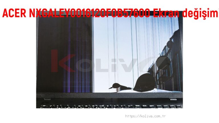 ACER NXGALEY0016120F0B57600 Ekran değişim fiyatı