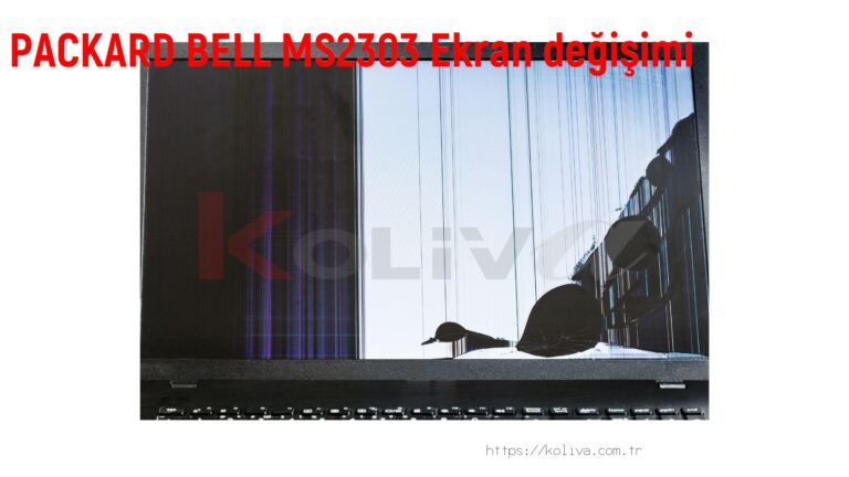 PACKARD BELL MS2303 Ekran değişim fiyatı