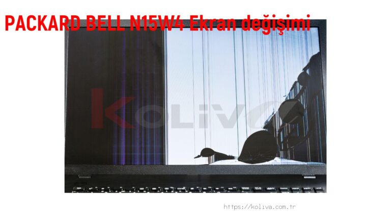 PACKARD BELL N15W4 Ekran değişim fiyatı