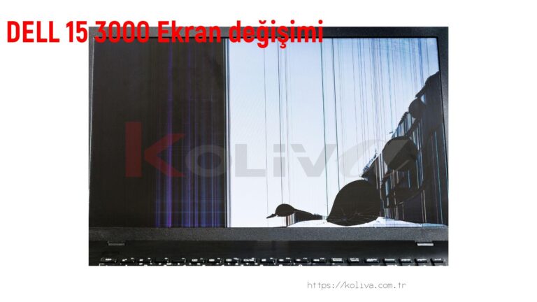DELL 15 3000 Ekran değişim fiyatı
