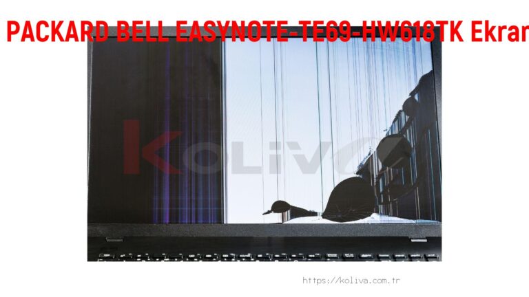 PACKARD BELL EASYNOTE-TE69-HW618TK Ekran değişim fiyatı
