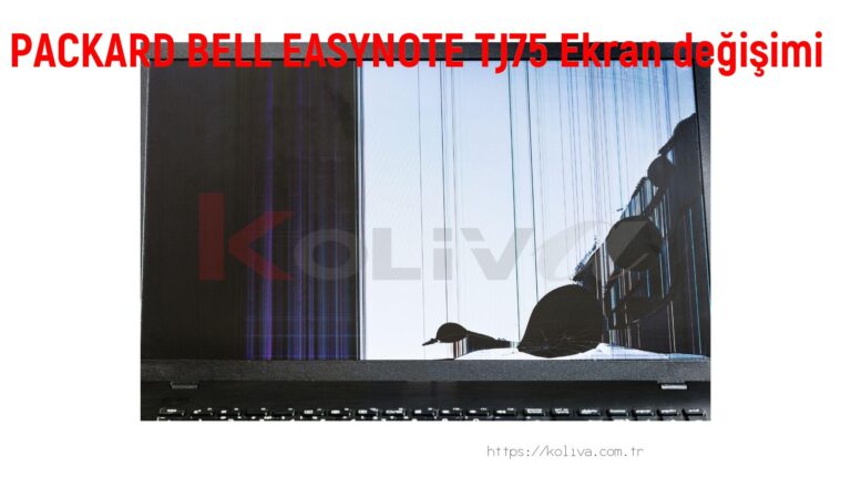 PACKARD BELL EASYNOTE TJ75 Ekran değişim fiyatı