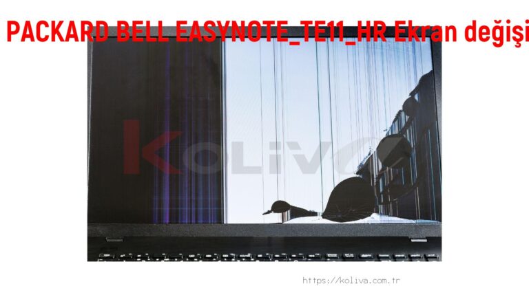 PACKARD BELL EASYNOTE_TE11_HR Ekran değişim fiyatı