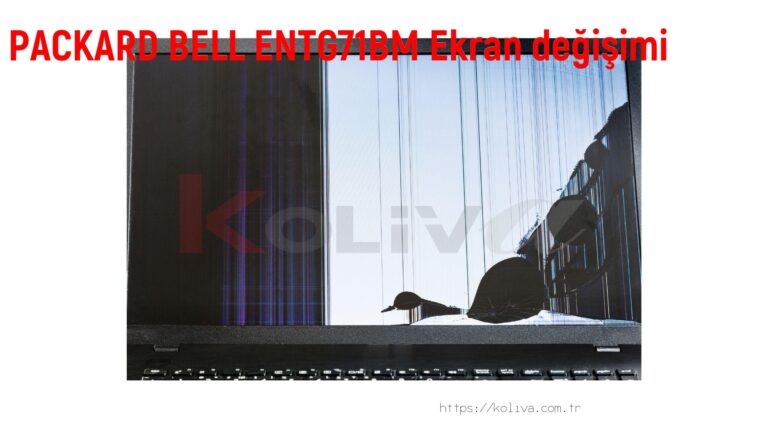 PACKARD BELL ENTG71BM Ekran değişim fiyatı